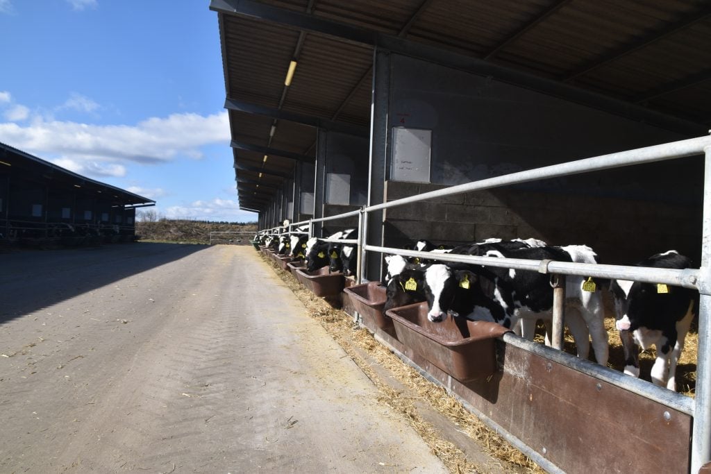 Fruerlundgaard - Farm management - Cow signals (6)